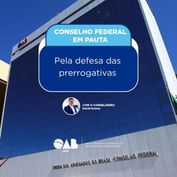 Conselho Federal: Pela defesa das prerrogativas