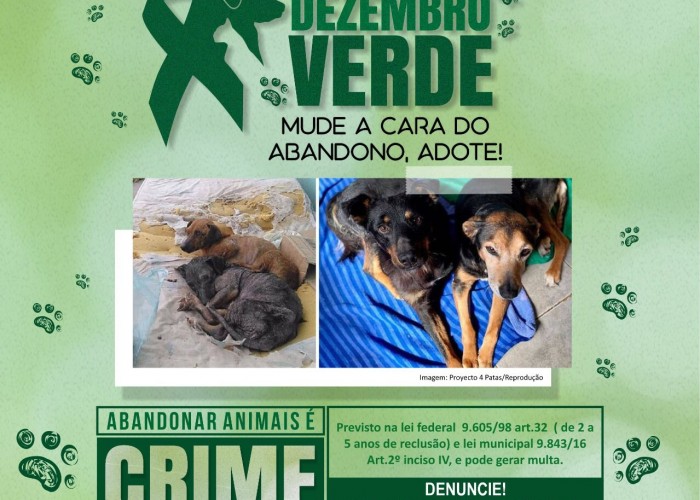 Dezembro Verde: OAB-GO lança campanha contra o abandono de animais