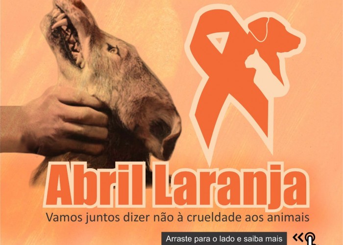 Abril Laranja: OAB-GO realiza campanha em combate à crueldade animal