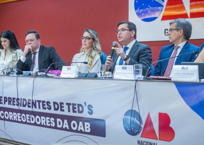 XVII Encontro de Presidentes de TEDs: painel propõe repulsar o termo “litigância predatória” para “litigância fraudulenta e/ou abusiva” e propõe meios de combate para proteção da integridade do sistema judiciário brasileiro